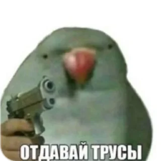 😆 emoji ЭТО МОЯ ЖИЗНЬ Telegram sticker 5 of 100