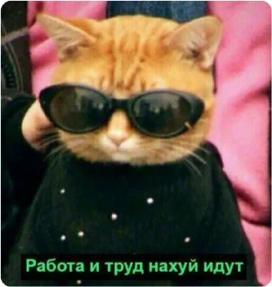 😎 emoji ЭТО МОЯ ЖИЗНЬ Telegram sticker 20 of 100