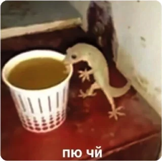 ☕️ emoji ЭТО МОЯ ЖИЗНЬ Telegram sticker 7 of 100