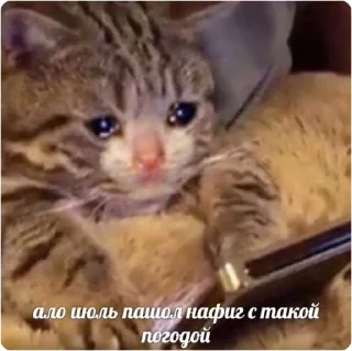 😩 emoji ЭТО МОЯ ЖИЗНЬ Telegram sticker 11 of 100