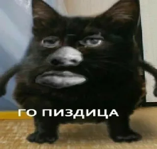 Sticker from Моя хуйня