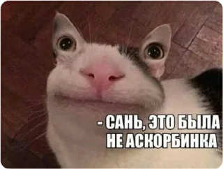 😁 emoji ЭТО МОЯ ЖИЗНЬ Telegram sticker 18 of 100
