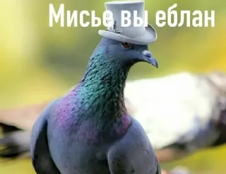 Sticker from Моя хуйня