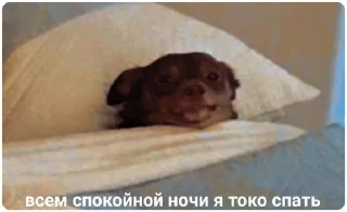😴 emoji ЭТО МОЯ ЖИЗНЬ Telegram sticker 10 of 100