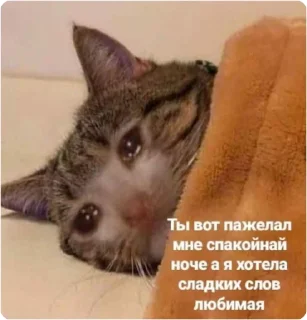 😅 emoji ЭТО МОЯ ЖИЗНЬ Telegram sticker 14 of 100