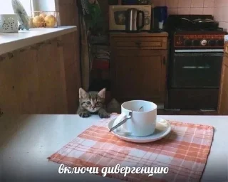 🐈‍⬛️ emoji моя жизнь это трип Telegram sticker 16 of 83