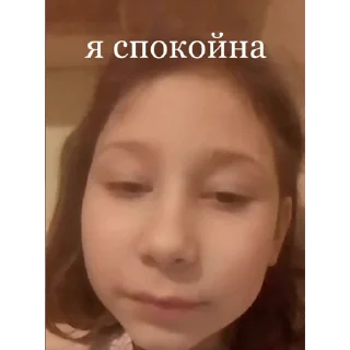 Sticker from Майнкрафт это моя жизнь