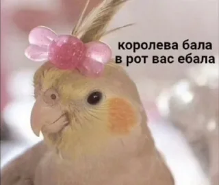 😊 emoji Моника лучшая сучки Telegram sticker 2 of 10