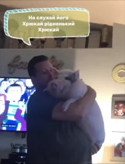 🌟 emoji Зрада, іпсо та нахрюки Telegram sticker 23 of 30