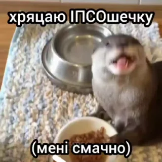 🌟 emoji Зрада, іпсо та нахрюки Telegram sticker 15 of 30