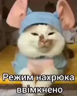 🌟 emoji Зрада, іпсо та нахрюки Telegram sticker 20 of 30