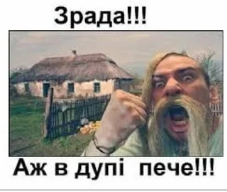 🌟 emoji Зрада, іпсо та нахрюки Telegram sticker 9 of 30