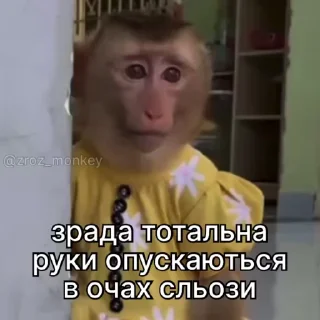 🌟 emoji Зрада, іпсо та нахрюки Telegram sticker 1 of 30