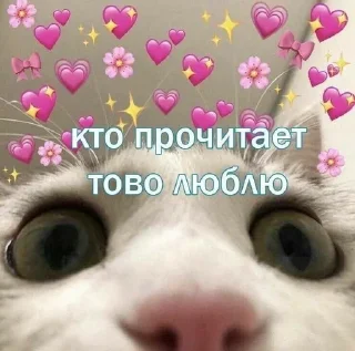 💘 emoji для тебя♡ Telegram sticker 19 of 22