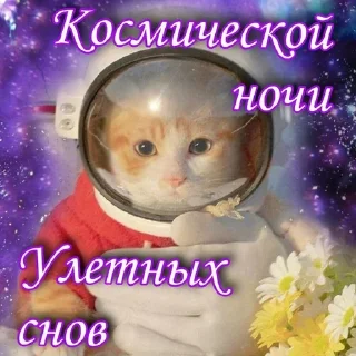🌟 emoji kotiki Telegram sticker 11 of 72