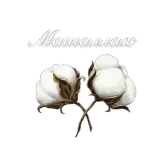 Sticker from Ислам тг