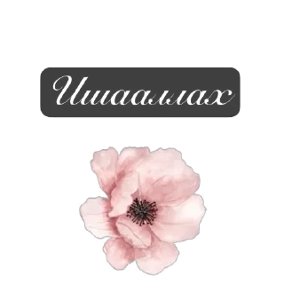 Sticker from Ислам тг