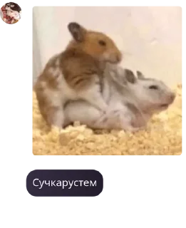 👨‍⚕️ emoji Чайный домик🎋 pack by @QuotLyBot Telegram sticker 17 of 120
