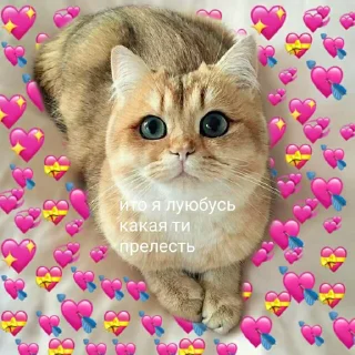😃 emoji Video Favorite stickers Telegram sticker 3 of 50
