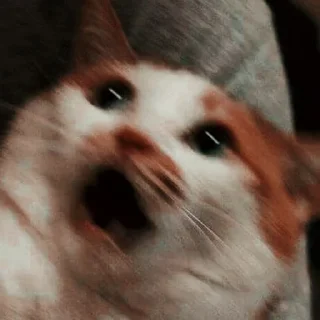 😨 emoji Video Favorite stickers Telegram sticker 23 of 50