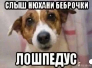 🌟 emoji АУЕ Telegram sticker 10 of 99