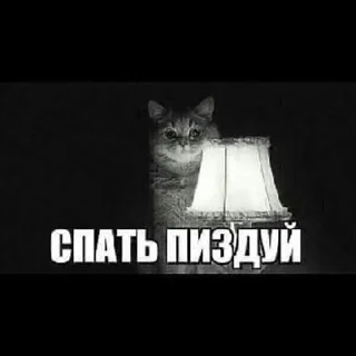 Sticker from всеяснокалл