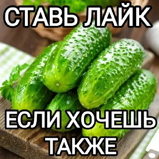 Sticker from ОДИНОЧЕСТВО