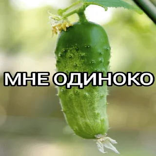 Sticker from ОДИНОЧЕСТВО