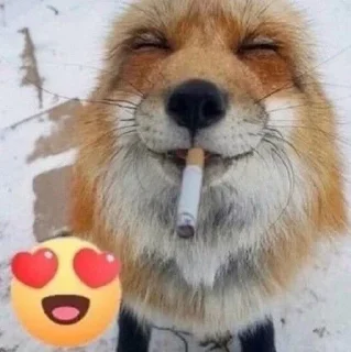 😍 emoji вика♡@imxcol Telegram sticker 14 of 42