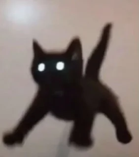 Sticker from Милі котики