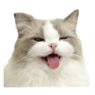 Sticker from кисики
