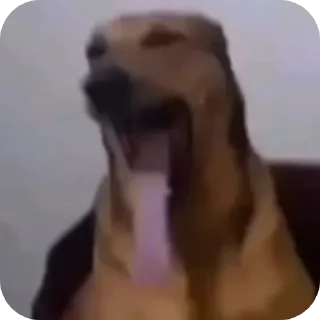 Sticker from Иван золо умни @TgEmodziBot