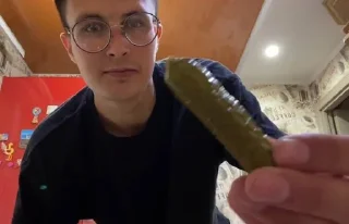🥒 emoji колобак Telegram sticker 12 of 31