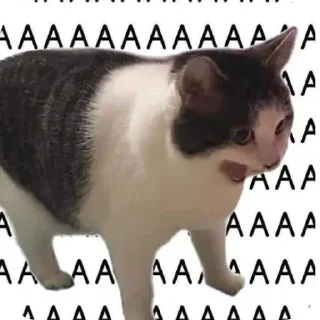🤧 emoji SituationEm Telegram sticker 23 of 76