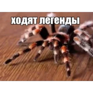 🫥 emoji взз за тсвдваджыдыжв Telegram sticker 17 of 85