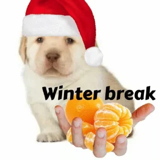 🍊 emoji Why r u spreading Telegram sticker 16 of 120