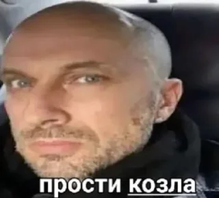 🙏 emoji лучшие женщины смеются Telegram sticker 16 of 119