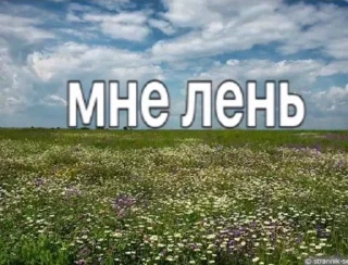 🛌 emoji лучшие женщины смеются Telegram sticker 10 of 119