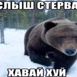 😈 emoji лучшие женщины смеются Telegram sticker 9 of 119