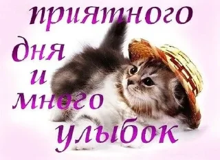 😜 emoji лучшие женщины смеются Telegram sticker 14 of 119
