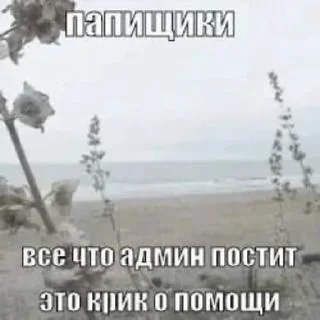 🗣 emoji лучшие женщины смеются Telegram sticker 6 of 119