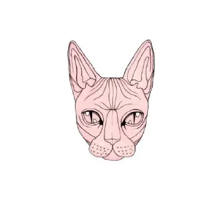 🌟 emoji @PoshlayaMolly2013 Telegram sticker 5 of 40