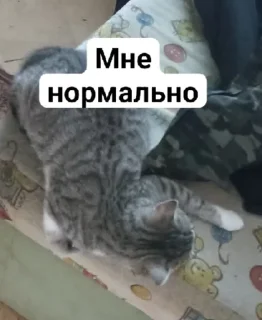 😳 emoji СонькаАгро Telegram sticker 15 of 15