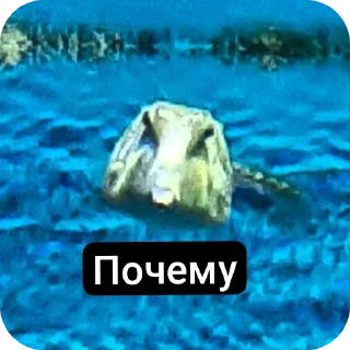 Sticker from Музеи москвы ВСЕ ФОТКИ СДЕЛАНЫ АВТОРОМ
