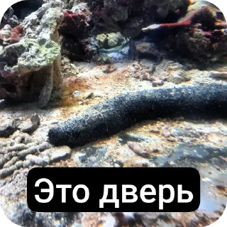 Sticker from Музеи москвы ВСЕ ФОТКИ СДЕЛАНЫ АВТОРОМ
