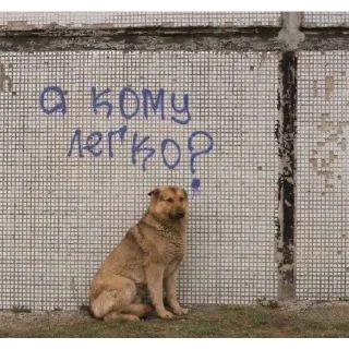 😟 emoji укр меми Telegram sticker 16 of 82