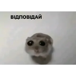 😤 emoji укр меми Telegram sticker 11 of 82