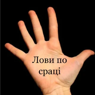 Sticker from Укр меми🇺🇦🤘