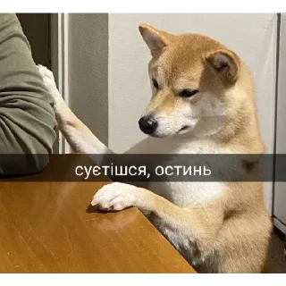 😨 emoji укр меми Telegram sticker 23 of 82