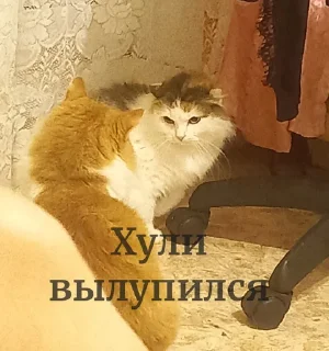 😱 emoji Стикеры @stickrubot @textmeru_bot Telegram sticker 19 of 26